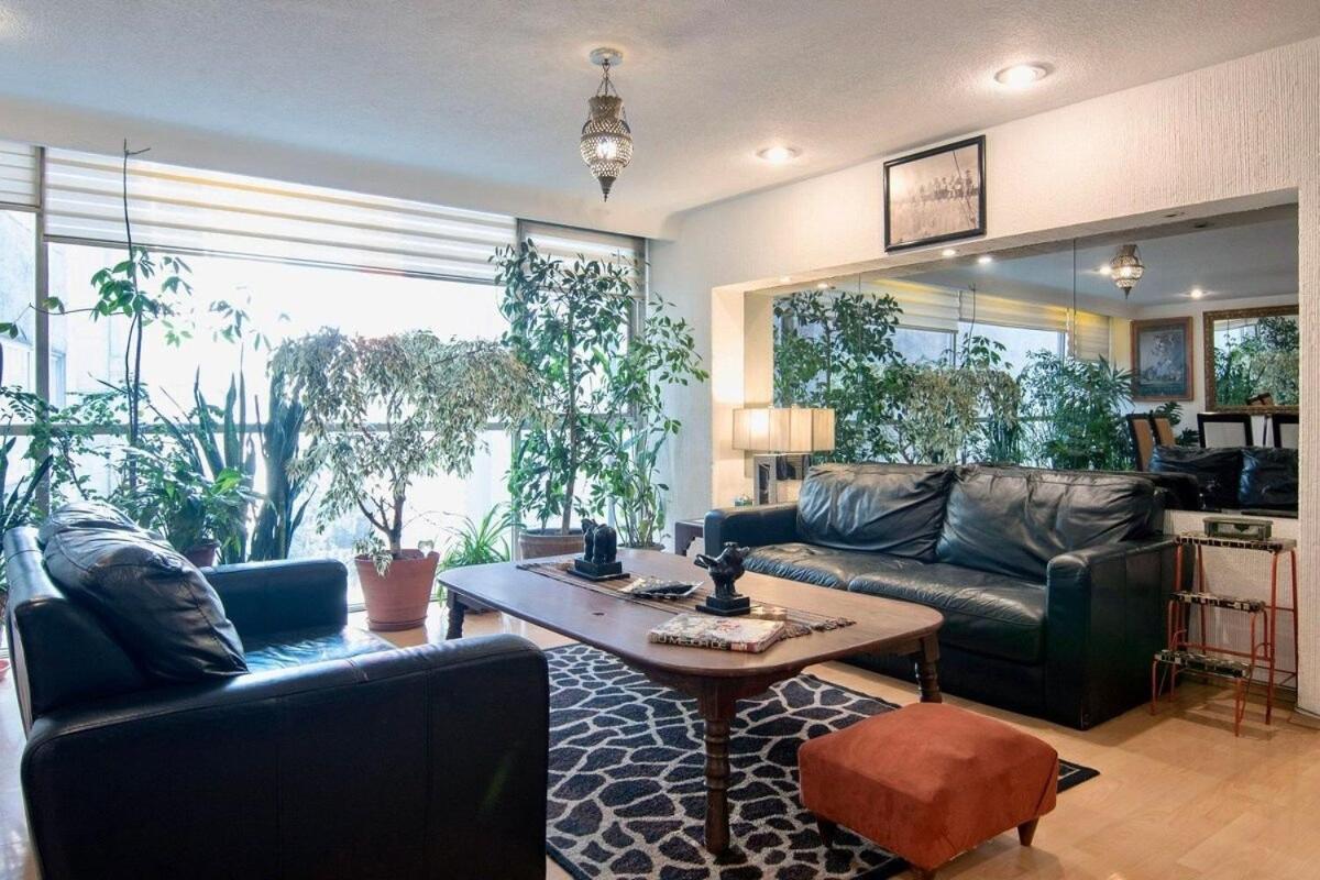 Eclectic Jungle: 4 Bedrooms In Beautifull Polanco メキシコシティ エクステリア 写真