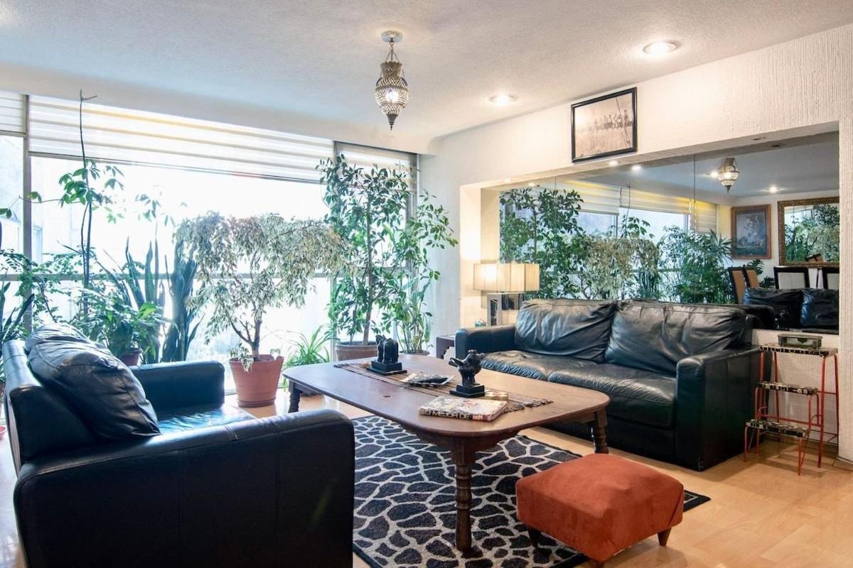 Eclectic Jungle: 4 Bedrooms In Beautifull Polanco メキシコシティ エクステリア 写真